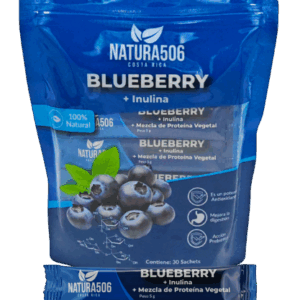 BLUEBERRY C/INULINA POLVO 30UNIDS 1805 AGRONG