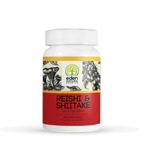 Reishi y Shiitake